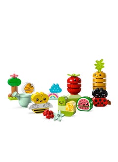 LEGO حديقتي العضوية الأولى 10984  - Image 2
