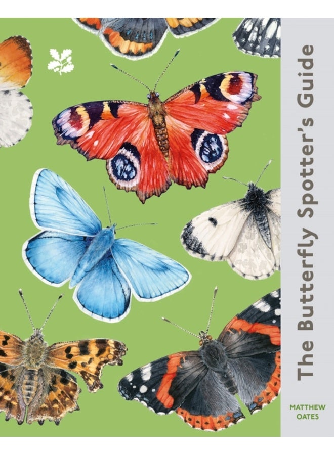 The Butterfly Spotter’s Guide 
