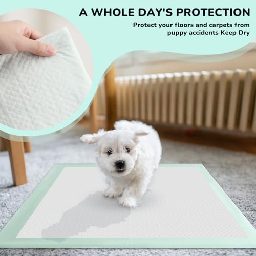 Red Rabbits 80PCS Pet Training and Puppy Pads - 24"x24" Disposable Waterproof Puppy Pee Pads - Maximum Absorption and Protection - Image 2