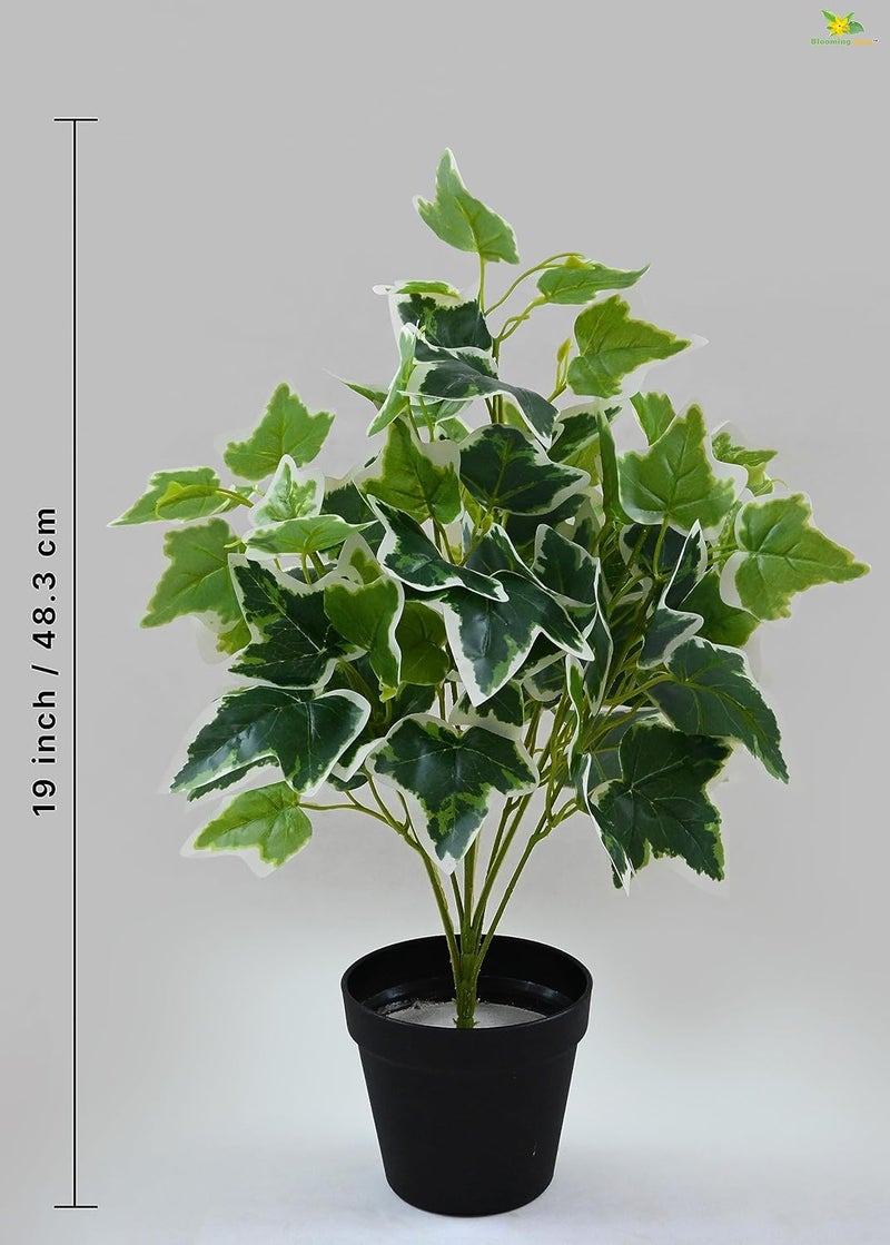 Blooming Floret Blooming Floret Artificial English Ivy 483 cm Short Plant for Interior DecorHome DecorOffice DecorGifting with Basic Black Pot Ornamental Plant Natural Looking Durable  - Image 3