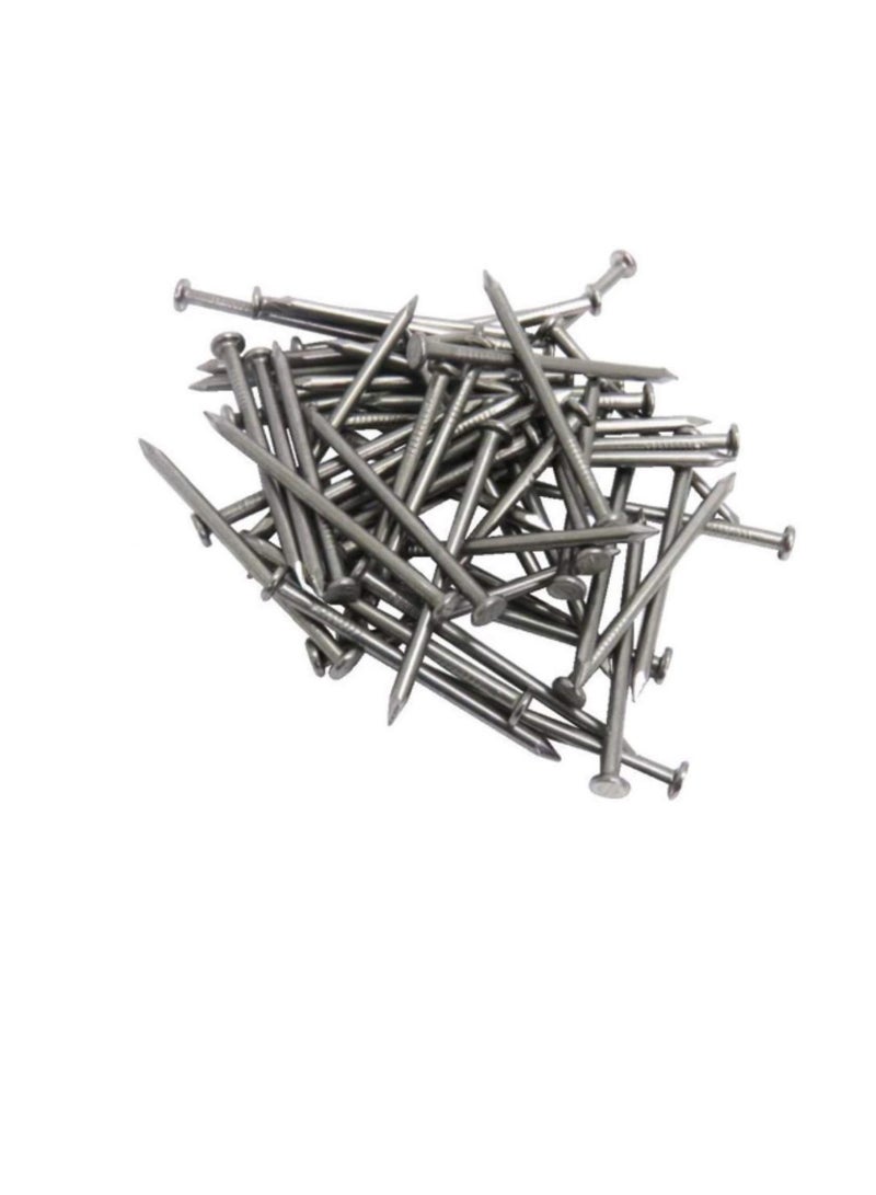 High Strength Round Head Nails For Carpentry Hardware Electrical Etc (100, 1 1/2 inch) - Image 1