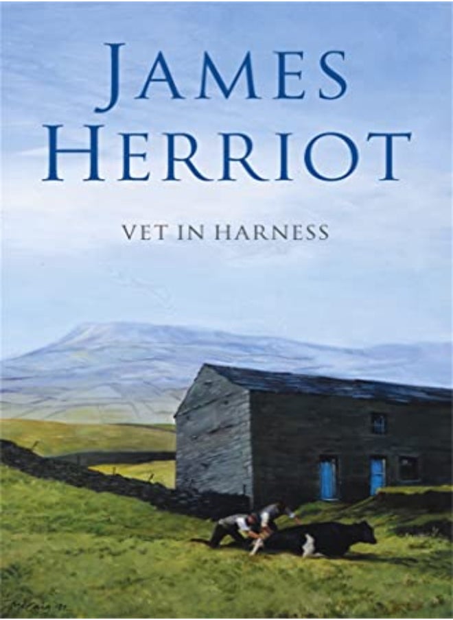 Vet in Harness 