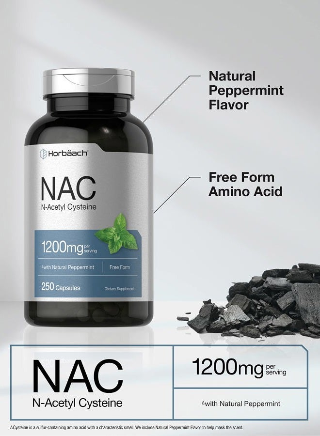Horbäach NAC N-Acetyl Cysteine Supplement 1200mg | 250 Capsules | with Natural Peppermint | Non-GMO, Gluten Free - Image 3