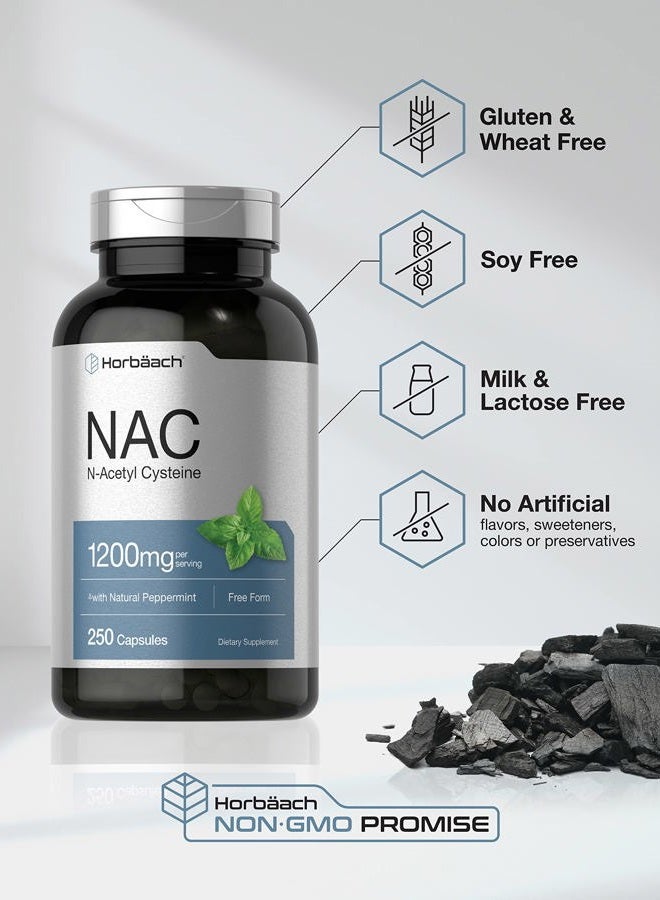 Horbäach NAC N-Acetyl Cysteine Supplement 1200mg | 250 Capsules | with Natural Peppermint | Non-GMO, Gluten Free - Image 4