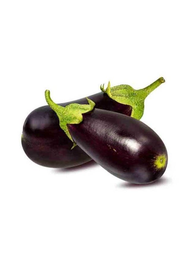 Eggplants  500g (2-4 pieces/pack)