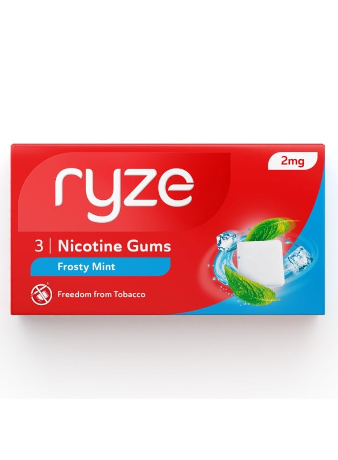 رايز علكة رايز بنكهة النعناع المثلج ٢ جم | عبوة اقتصادية من ٣٠ قطعة (٩٠ علكة) | تخلص من التدخين والتبغ | لطيفة على الحلق | معتمدة من إدارة الغذاء والدواء الأمريكية | خالية من السكر | تبييض الأسنان - Image 2