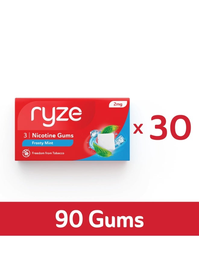 رايز علكة رايز بنكهة النعناع المثلج ٢ جم | عبوة اقتصادية من ٣٠ قطعة (٩٠ علكة) | تخلص من التدخين والتبغ | لطيفة على الحلق | معتمدة من إدارة الغذاء والدواء الأمريكية | خالية من السكر | تبييض الأسنان - Image 1