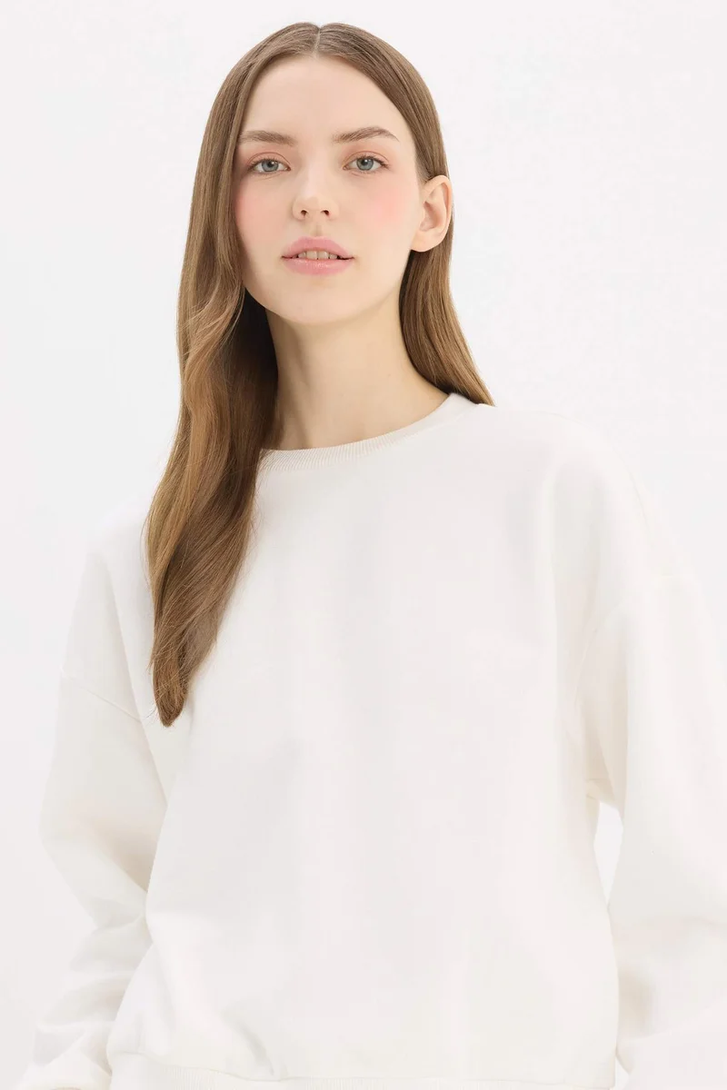 DeFacto Regular Fit Crew Neck Thick Basic Sweatshirt