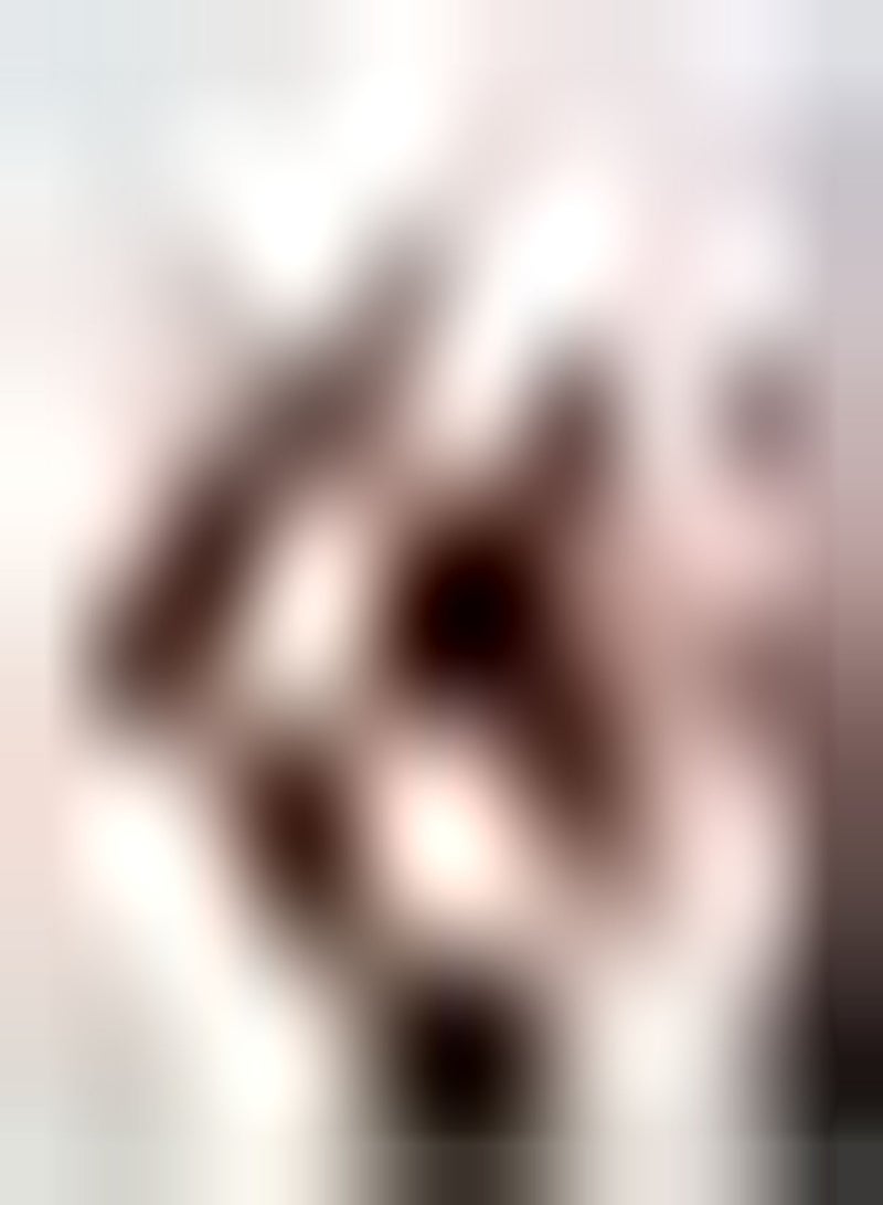 GGOOT 2 x rosa Amaryllis Zwiebeln Amaryllis Zwiebeln exotisch erstaunlich seltene Arten charmante Heimdekoration Blumen Exquisit geliebt von Menschen Einfach zu pflanzen - Image 1