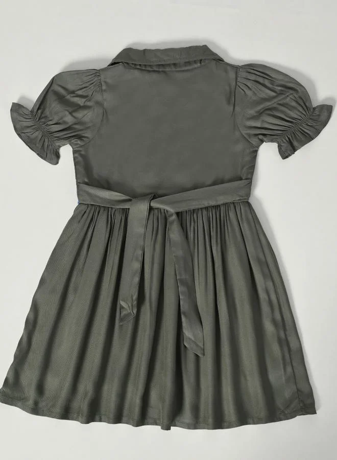 BELLA MODA Bella Moda Embroidered Puff Sleeve Knee-Length Dress