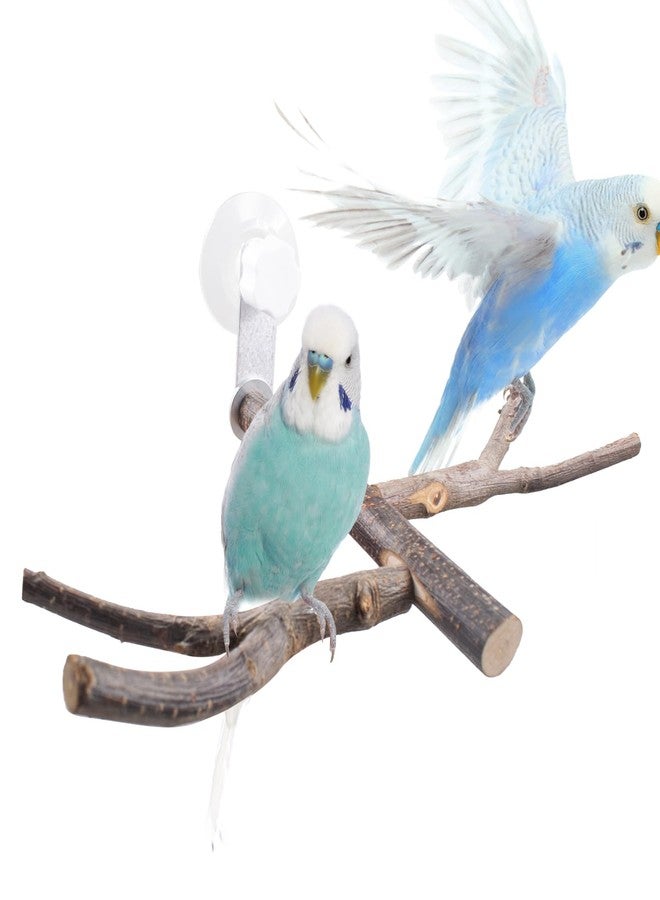JINGHANGER Bird Perch with Suction Cup Window Wall Bath Car Outdoor Travel Perch Stand for Small and Medium Bird Parrot Parakeet Cockatiel Conure African Greys Budgie Lovebirds (Two-Y-Type Wood Window Perch) - Image 1