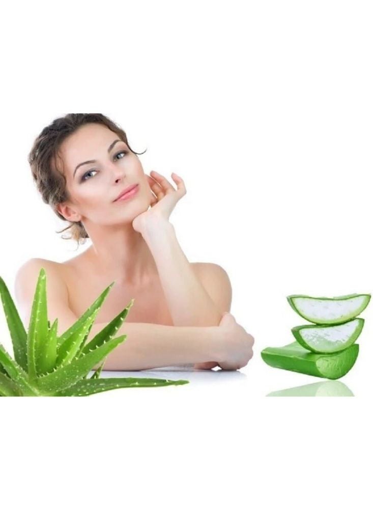 بريميم جل الصبار المهدئ بنسبة ٩٩٪ - جل طبيعي مرطب ومنعش للعناية بالبشرة للوجه والجسم - Image 2