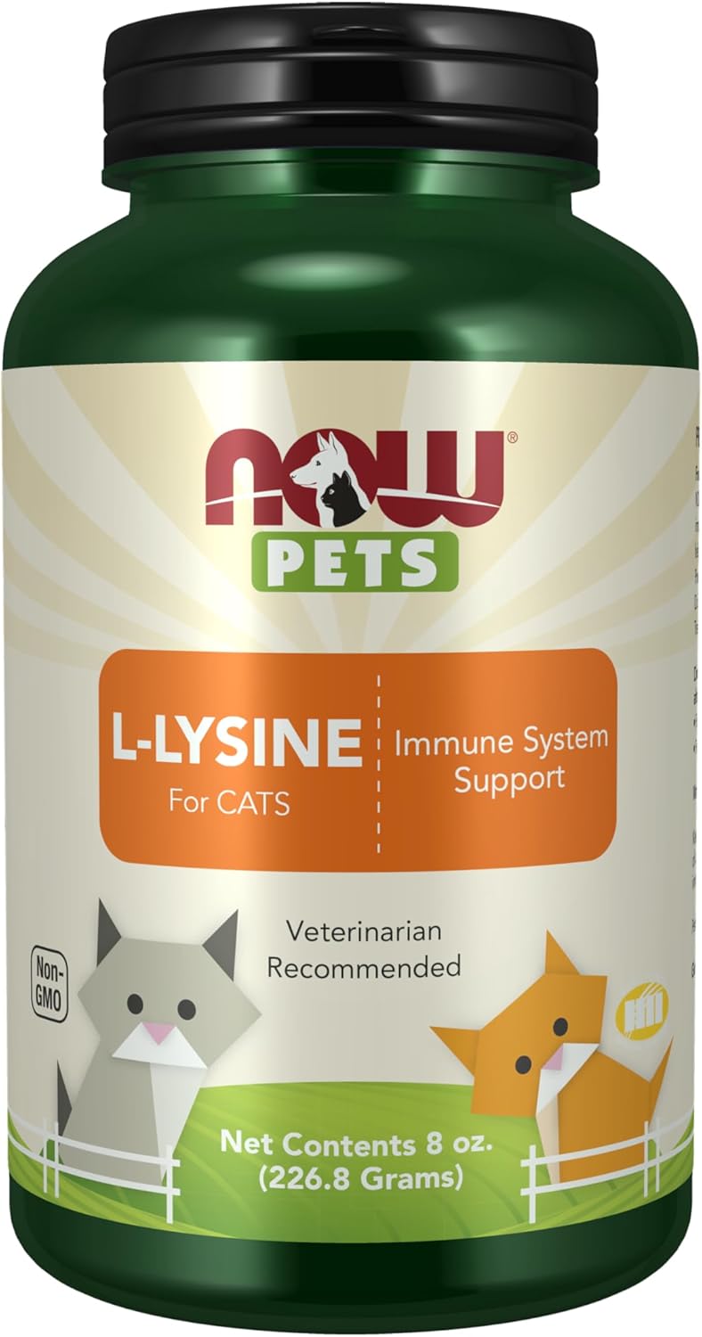 now LLysine Powder for Cats - Image 1