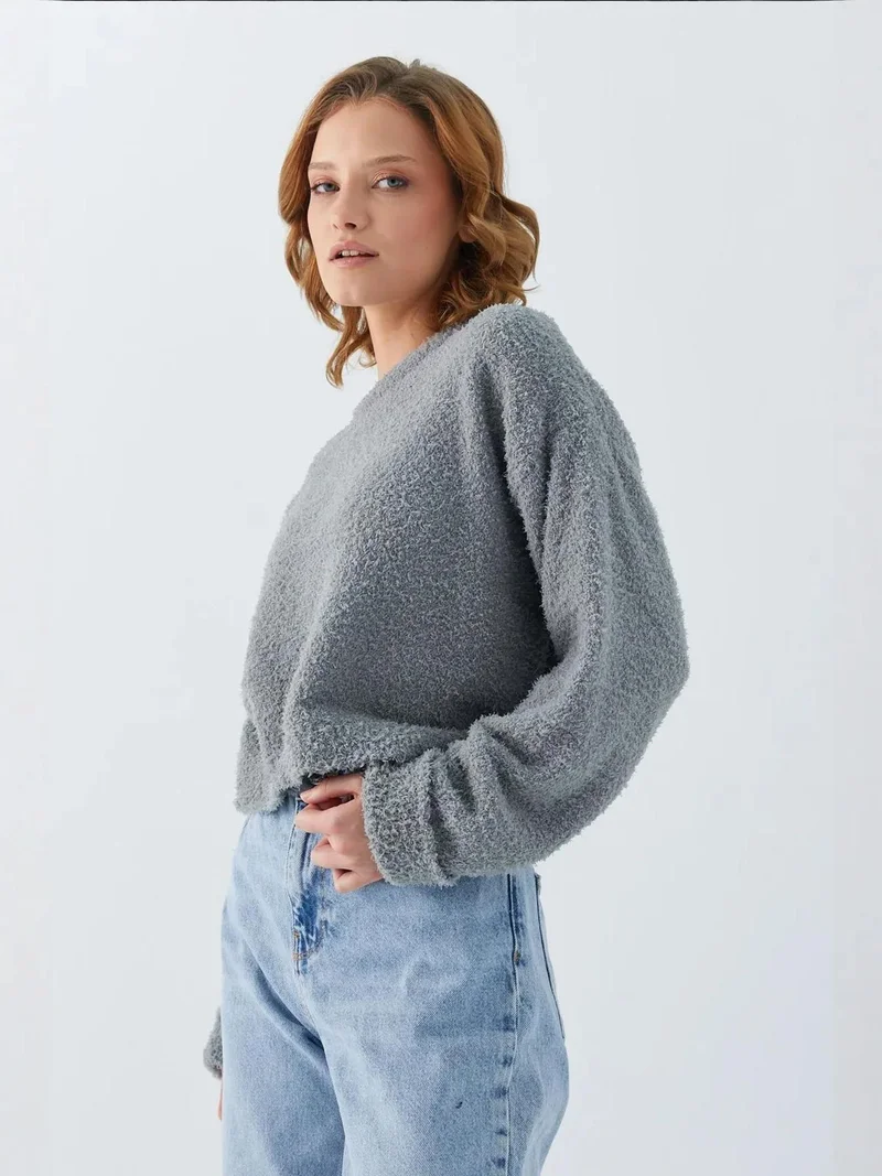 Mixray Grey Mixray Plush Textured Crop Knit Sweater for Women | Best Price UAE