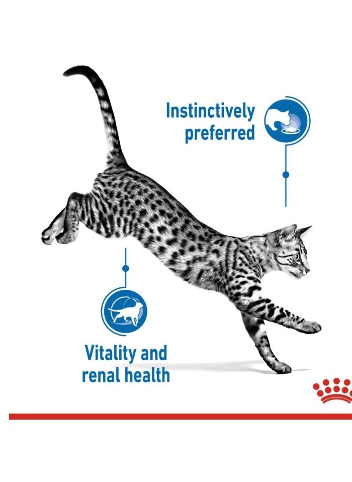 ROYAL CANIN Feline Health Nutrition Indoor (WET FOOD - Pouches) 12 x 85g - Image 4