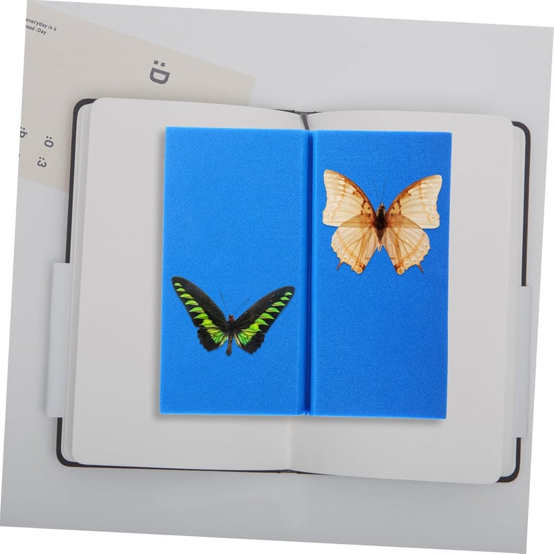 STOBAZA 4 قطع مجموعة علم الحشرات لوحة تثبيت الحشرات لعرض عينات الفراشات - Image 5