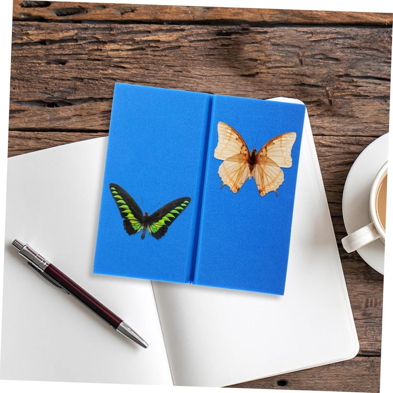 STOBAZA 4 قطع مجموعة علم الحشرات لوحة تثبيت الحشرات لعرض عينات الفراشات - Image 4