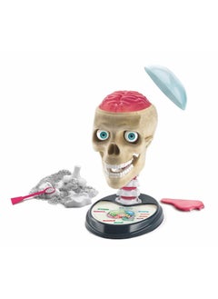 Clementoni Clementoni Science & Play Crazy Anatomy STEM Kit  - Image 2