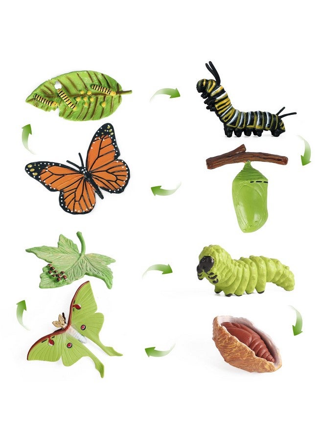 Sienon SIENON 4pcs Butterfly Life Cycle Toy Figurines and 4pcs Actias Ningpoana Figure-Plastic Caterpillar to Monarch Butterfly Growth Cycle Toy Insect Figures Teaching Tools School Project for Kids - Image 1