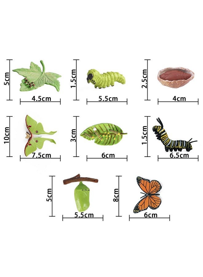 Sienon SIENON 4pcs Butterfly Life Cycle Toy Figurines and 4pcs Actias Ningpoana Figure-Plastic Caterpillar to Monarch Butterfly Growth Cycle Toy Insect Figures Teaching Tools School Project for Kids - Image 2
