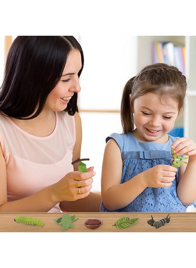 Sienon SIENON 4pcs Butterfly Life Cycle Toy Figurines and 4pcs Actias Ningpoana Figure-Plastic Caterpillar to Monarch Butterfly Growth Cycle Toy Insect Figures Teaching Tools School Project for Kids - Image 5