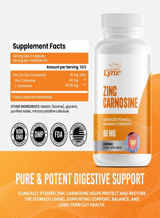 Leaping Lynx Zinc Carnosine 86 mg – Clinically Studied Zinc + L-Carnosine Complex for Gut Lining & Stomach Support | 120 Capsules (60-Day Supply) | Digestive Comfort, Mucosal Repair & Balance | Non-GMO - Image 2