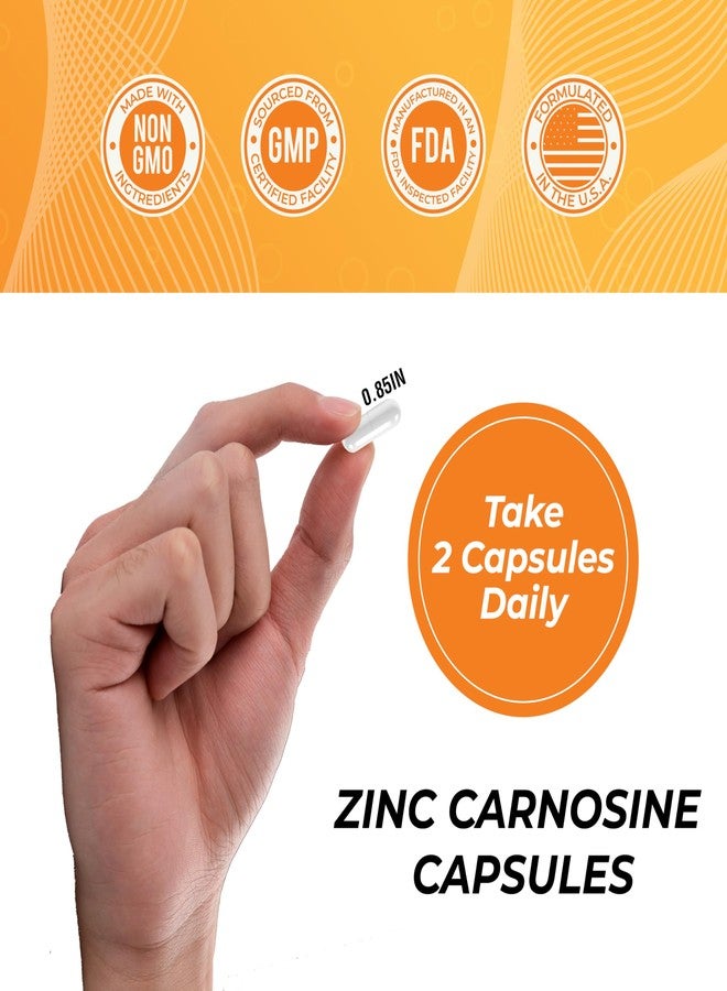 Leaping Lynx Zinc Carnosine 86 mg – Clinically Studied Zinc + L-Carnosine Complex for Gut Lining & Stomach Support | 120 Capsules (60-Day Supply) | Digestive Comfort, Mucosal Repair & Balance | Non-GMO - Image 4