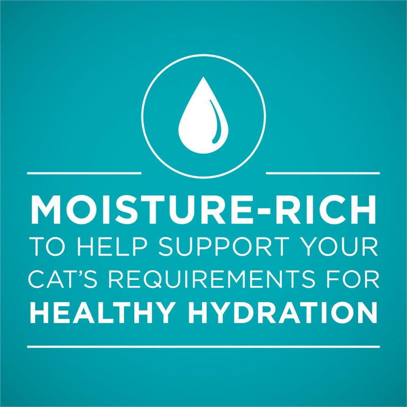 Purina ONE Natural, High Protein Cat Food Variety Pack, Turkey, Chicken and Tuna Recipes - (2 Packs of 12) 3 oz. Cans - Image 4