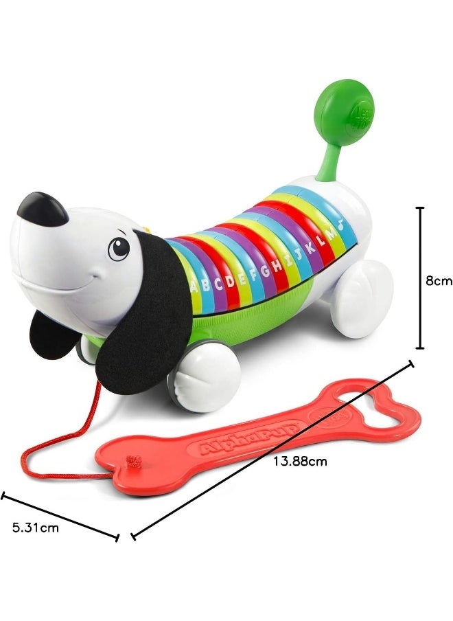 LeapFrog Alphapup, Walking Toy For Toddlers With Abcs And Fun Music, Interactive Puppy That Teaches Letters And Sounds, Ideal Developmental Toy For Kids Aged 12 Months And Up  - Image 3