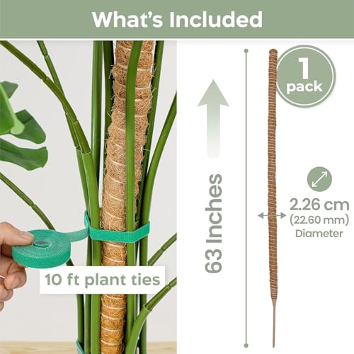 K-Brands 63'' Bendable Moss Pole Monstera Plant Support for Large Climbing Indoor Plants - Stakes for Potted Climbers - Tall Sticks Indoor Trellis for Houseplants - Accessories for Monstera Pot - Image 2