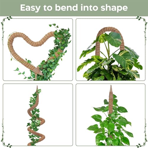 K-Brands 63'' Bendable Moss Pole Monstera Plant Support for Large Climbing Indoor Plants - Stakes for Potted Climbers - Tall Sticks Indoor Trellis for Houseplants - Accessories for Monstera Pot - Image 3
