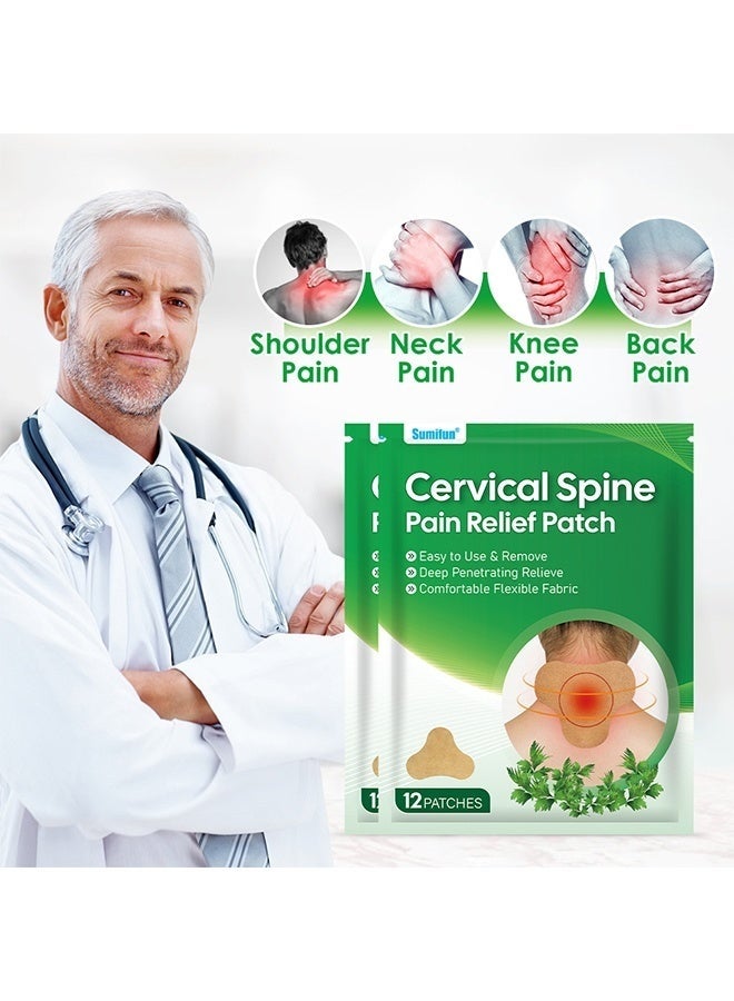 سوميفون لصقات سوميفون لتخفيف آلام الرقبة والكتفين، مصنوعة من الشيح، 12 قطعة، لصقات حرارية عميقة لتخفيف آلام الرقبة والكتفين، لصقات عشبية لتخفيف آلام الظهر والركبة والرقبة والكتفين والعضلات - Image 2