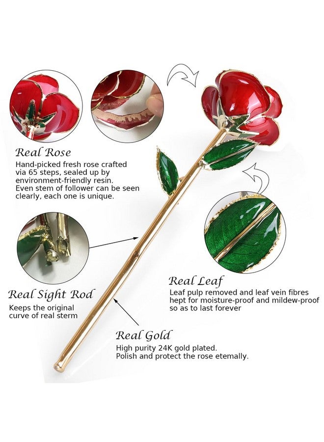 Sinvitron Gold Dipped Infinity Rose - Eternal Resin-Preserved Rose | Forever Flower Decor for Birthdays, Mother’s Day, Anniversaries | Unique Gift for Women, Mom, Wife(Red) - Image 2