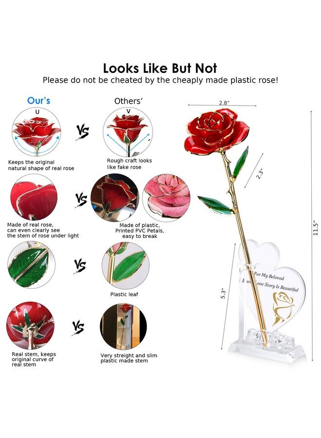 Sinvitron Gold Dipped Infinity Rose - Eternal Resin-Preserved Rose | Forever Flower Decor for Birthdays, Mother’s Day, Anniversaries | Unique Gift for Women, Mom, Wife(Red) - Image 3