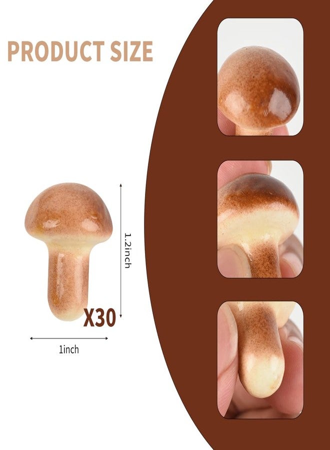 VIOCIWUO Mini Artificial Mushroom 30PCS, Fake Foam Mushrooms Lifelike Vegetable Simulated Fruit Model for Home Kitchen Decoration Food Props Display - Image 2