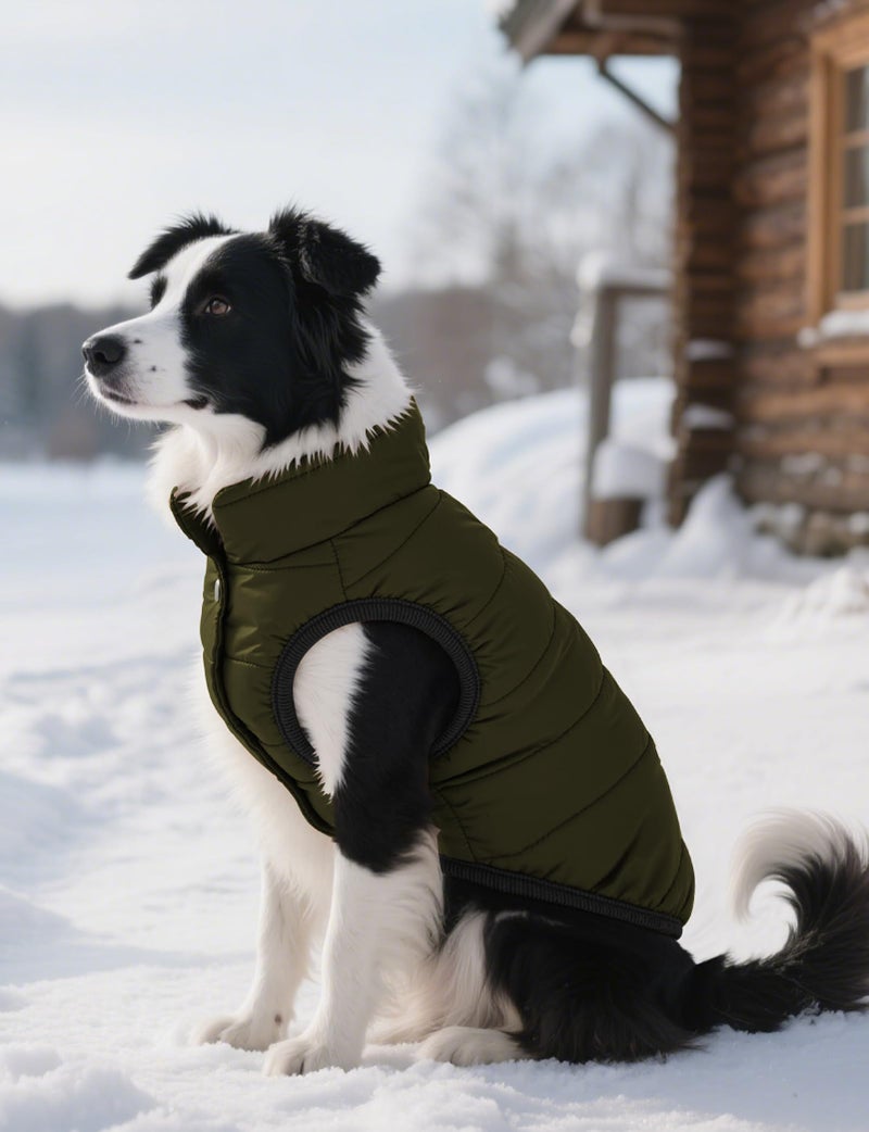 AURUZA Dog Winter Coat, Warm Waterproof Dogs Jacket Small Pet Vest for Medium Dogs Windproof Pet Fleece Vest Snow Jacket for Cold Weather(Army Green,M) - Image 2