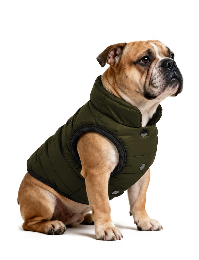 AURUZA Dog Winter Coat, Warm Waterproof Dogs Jacket Small Pet Vest for Medium Dogs Windproof Pet Fleece Vest Snow Jacket for Cold Weather(Army Green,M) - Image 1
