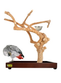 CHEWY BEAK Bird Stand Table Top Natural wooden Parrot Play Stand Indonesian Java wood Tree Perches with Stainless steel feeder medium size  - Image 1