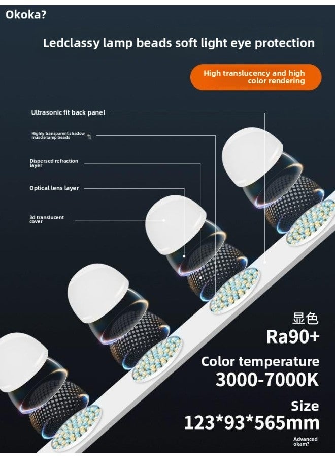 Loquat Row Light Fill Light Anchor Dedicated Portable Desktop Double Row Light Live Studio Beauty Soft Light LED Face Lighting Light-Light Source Color:【Hot Sale】 Double Lights⭐Upgraded One-piece Single-ro  - Image 4
