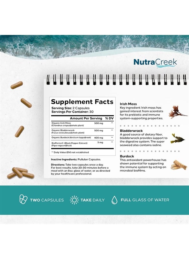 NutraCreek - Sea Moss | Irish Sea Moss Capsules with Bladderwrack, Burdock Root & BioPerine for Absorption. Prebiotic & Immune Support | 1 Month of Bladderwrack and Sea Moss Pills - 60 Capsules - Image 1