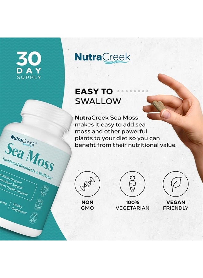NutraCreek - Sea Moss | Irish Sea Moss Capsules with Bladderwrack, Burdock Root & BioPerine for Absorption. Prebiotic & Immune Support | 1 Month of Bladderwrack and Sea Moss Pills - 60 Capsules - Image 1