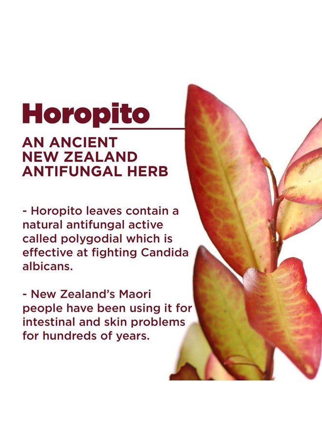 kolorex مرهم العناية بالشفاه ® كولسور - Image 5