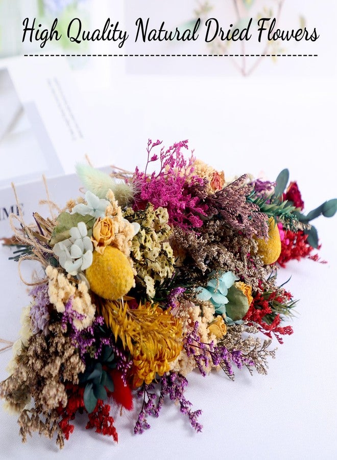 Tinideya باقة زهور مجففة من تينيديا، 24 قطعة، بتصميم بوهيمي، زهور مجففة صغيرة مع سيقان، نباتات زهرية صغيرة، باقات زهور طبيعية متنوعة للأعمال اليدوية، المزهريات، دعائم التصوير، ديكورات حفلات الزفاف - Image 3