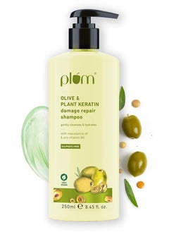 Plum Olive & Plant Keratin Damage Repair Shampoo | Sulphate-Free Shampoo | With Olive Oil, Plant Keratin, Macadamia Oil | Strengthens & Smoothens Hair, Conditions & Adds Shine to Hair | For Damaged, Salon-Treated Hair | 250 ml  - Image 1
