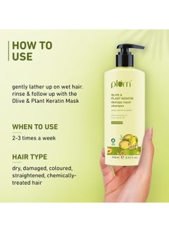 Plum Olive & Plant Keratin Damage Repair Shampoo | Sulphate-Free Shampoo | With Olive Oil, Plant Keratin, Macadamia Oil | Strengthens & Smoothens Hair, Conditions & Adds Shine to Hair | For Damaged, Salon-Treated Hair | 250 ml  - Image 3