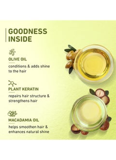 Plum Olive & Plant Keratin Damage Repair Shampoo | Sulphate-Free Shampoo | With Olive Oil, Plant Keratin, Macadamia Oil | Strengthens & Smoothens Hair, Conditions & Adds Shine to Hair | For Damaged, Salon-Treated Hair | 250 ml  - Image 4
