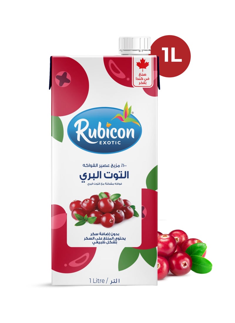 Rubicon عصير التوت البري بدون سكر مضاف - Image 3