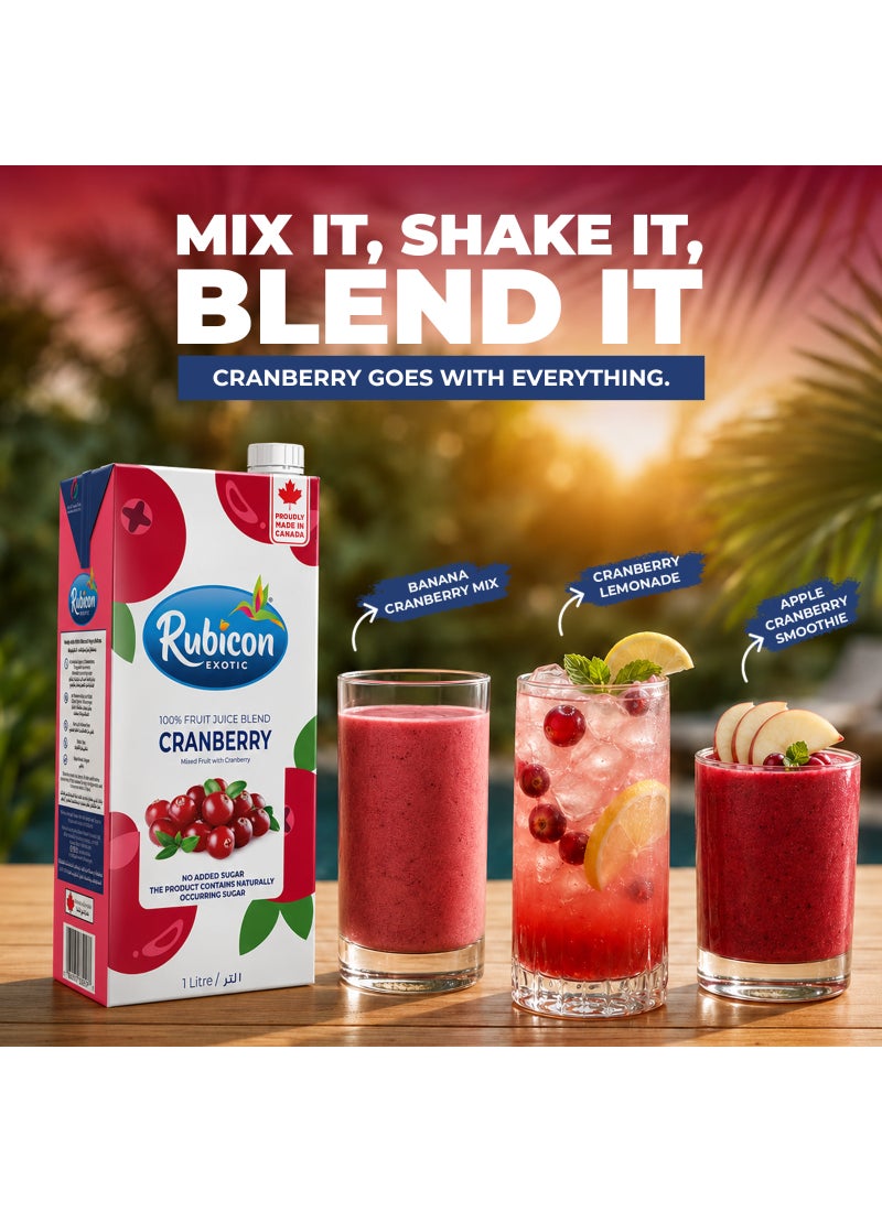 Rubicon Cranberry Fruit Juice, With Vitamin C, No Added Sugar - Image 5