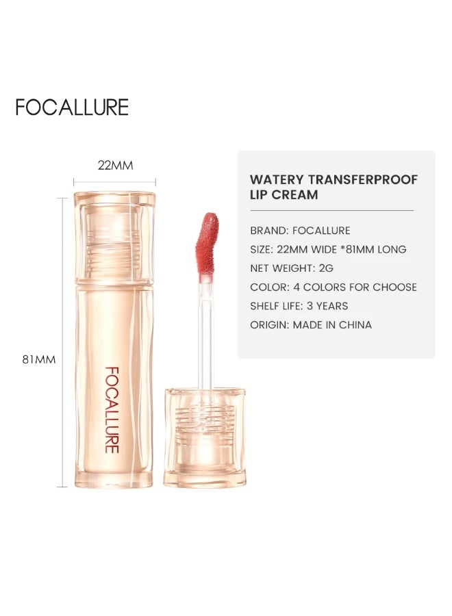 FOCALLURE Transferproof Shine Plump Lip Tint Transferproof Moisturizing Lipstick Makeup Beauty PK02 - Image 4