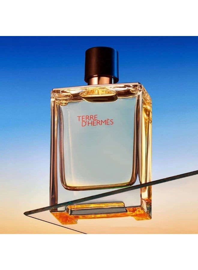 HERME'S PARIS Hermes Terre d'Hermes Eau de Toilette 100ml - Image 2